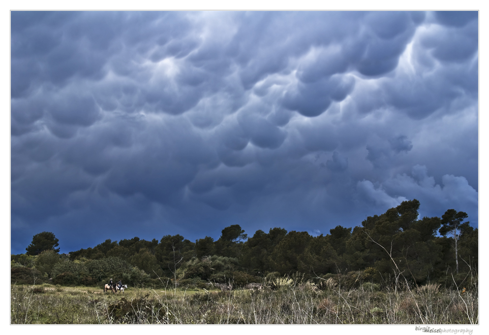 Vor dem Gewitter