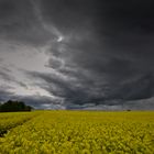 Vor dem Gewitter