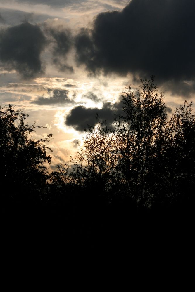 Vor dem Gewitter (Juli 2010) von Krähenbühl Hans Peter 