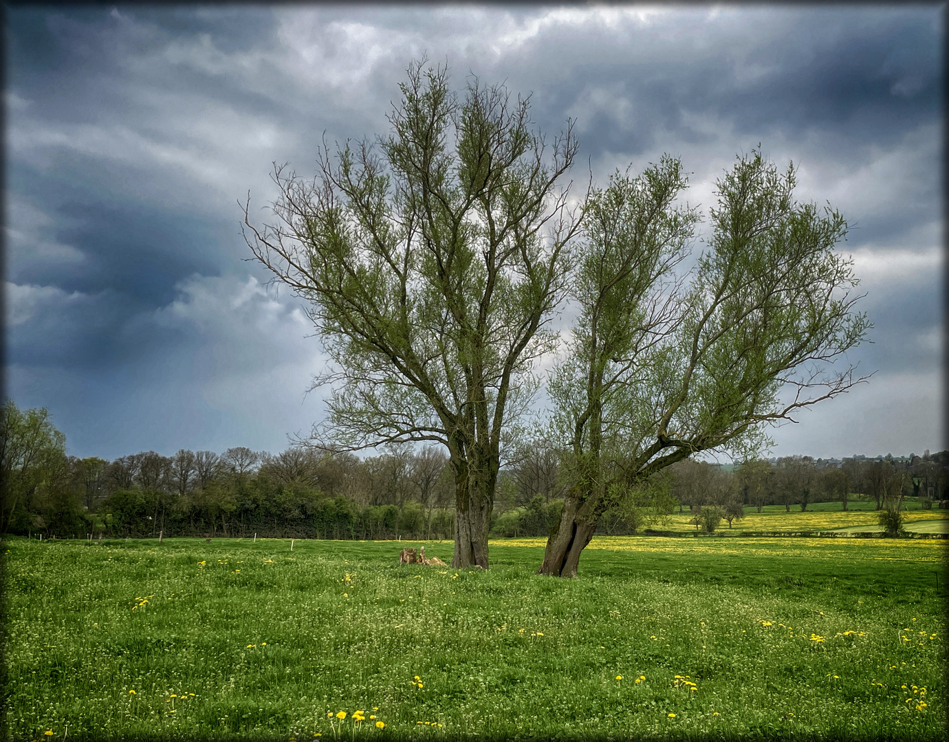 Vor dem Gewitter - L'orage s'annonce...