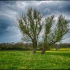 Vor dem Gewitter - L'orage s'annonce...