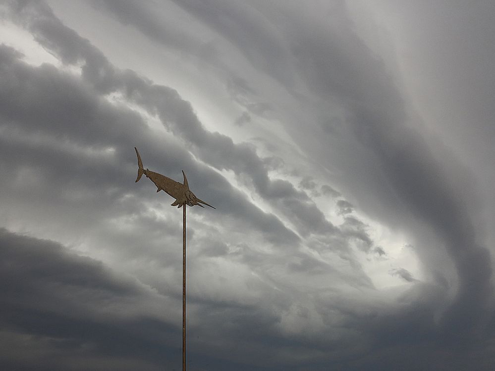 Vor dem Gewitter / Prima la burrasca