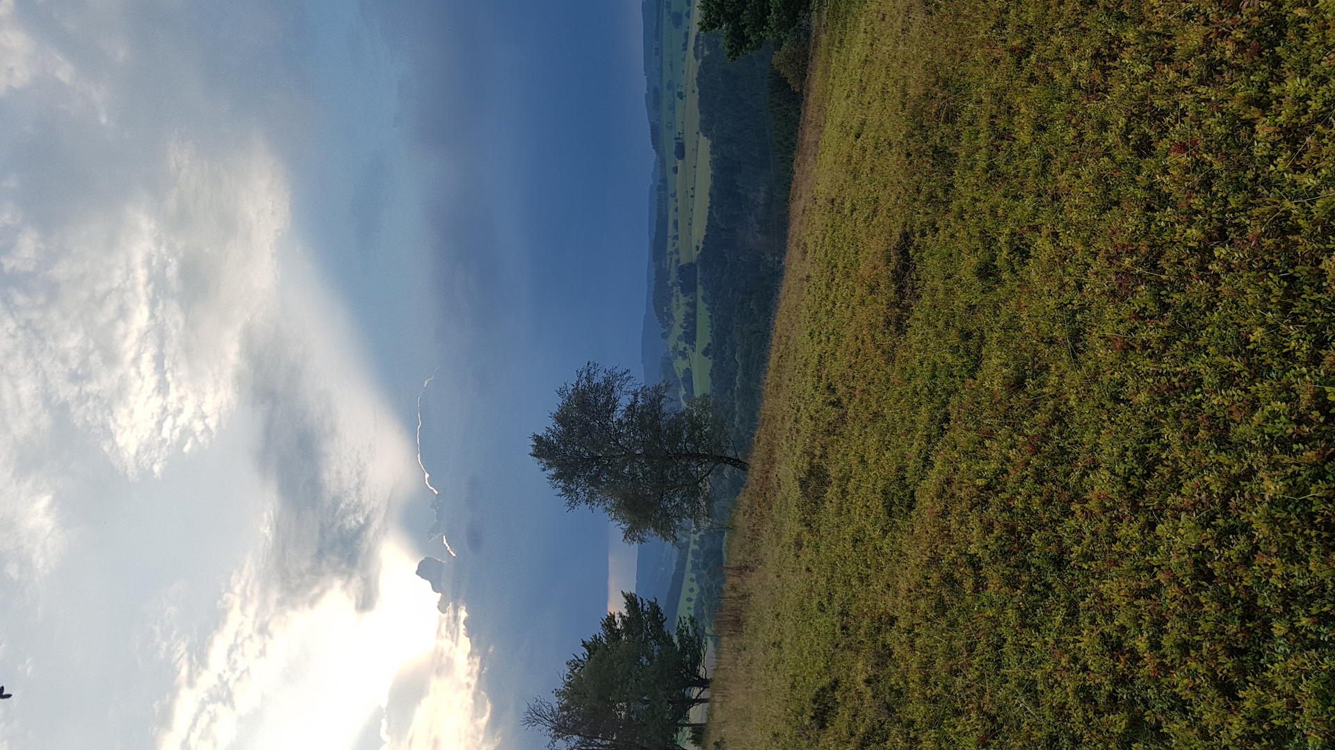 Vor dem Gewitter. Sauerland