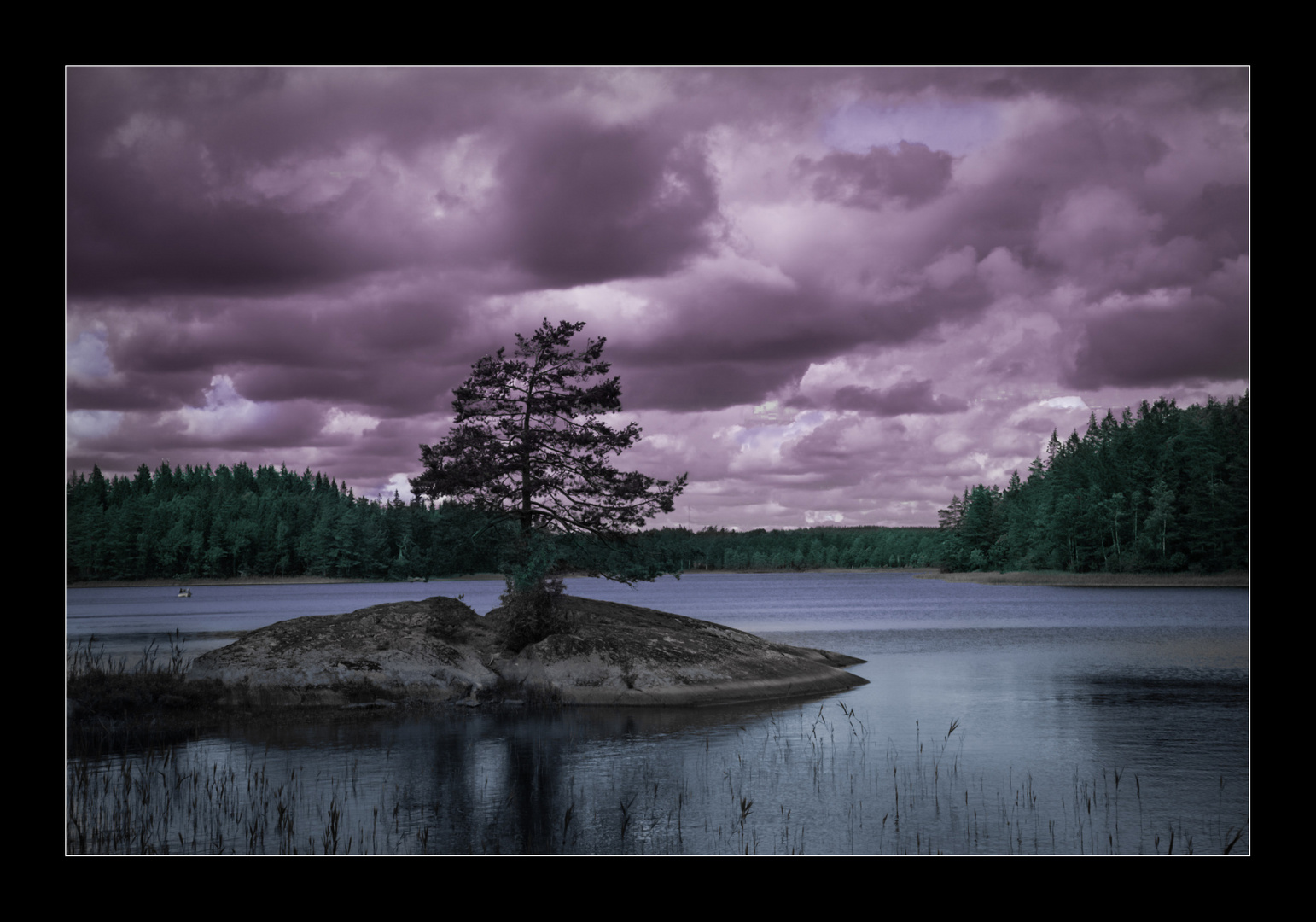 Vor dem Gewitter (Schweden).