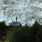 Vor dem Gletscher im Seno Pia