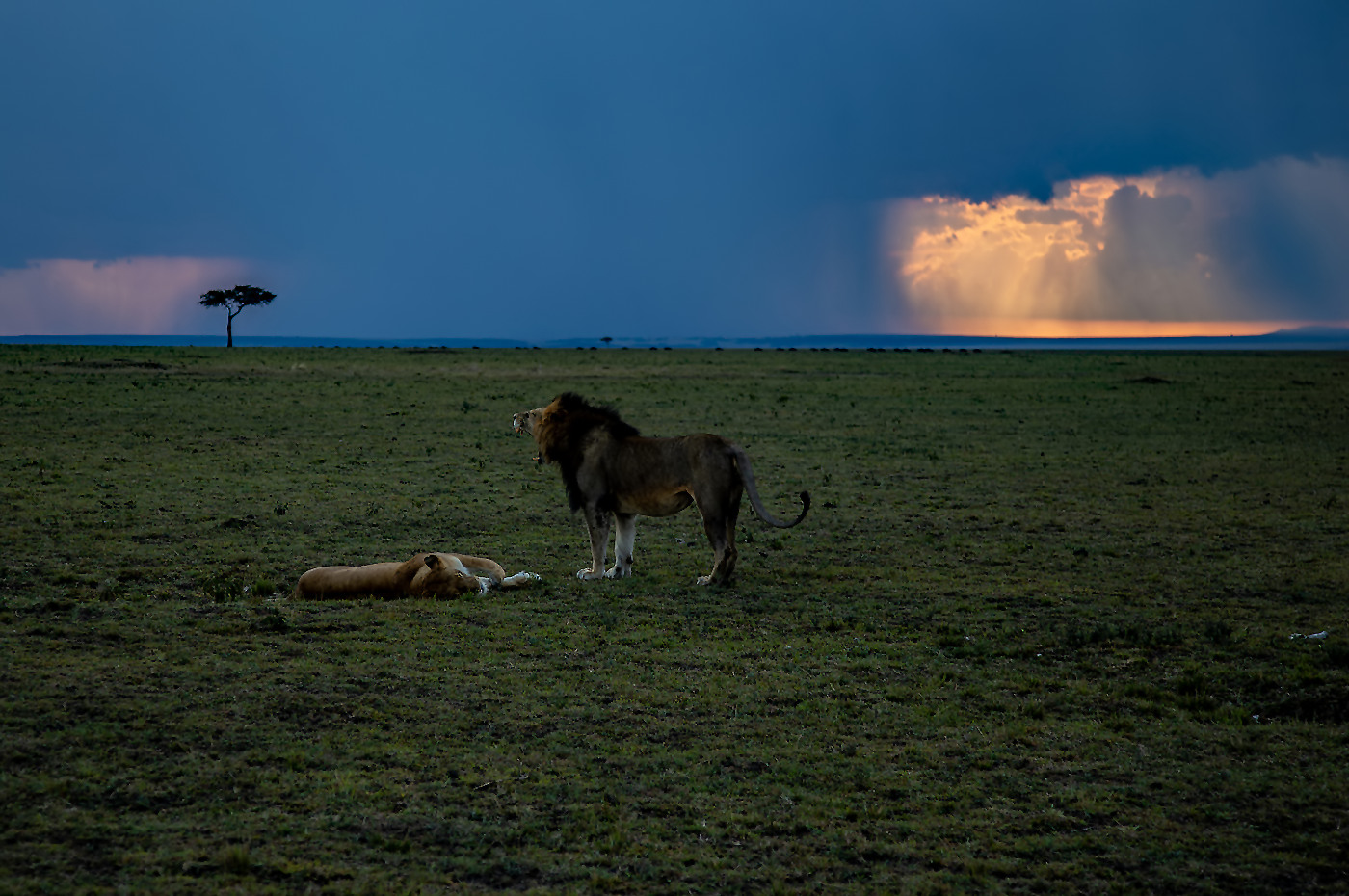 Vor dem grossen Regen 