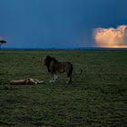 Vor dem grossen Regen 