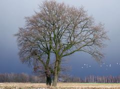 vor dem großen Regen...........