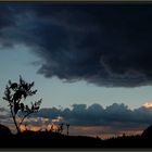 Vor dem großen Regen