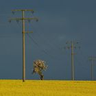 Vor dem großen Regen