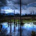 Vor dem großen Regen