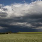 Vor dem großen Regen....