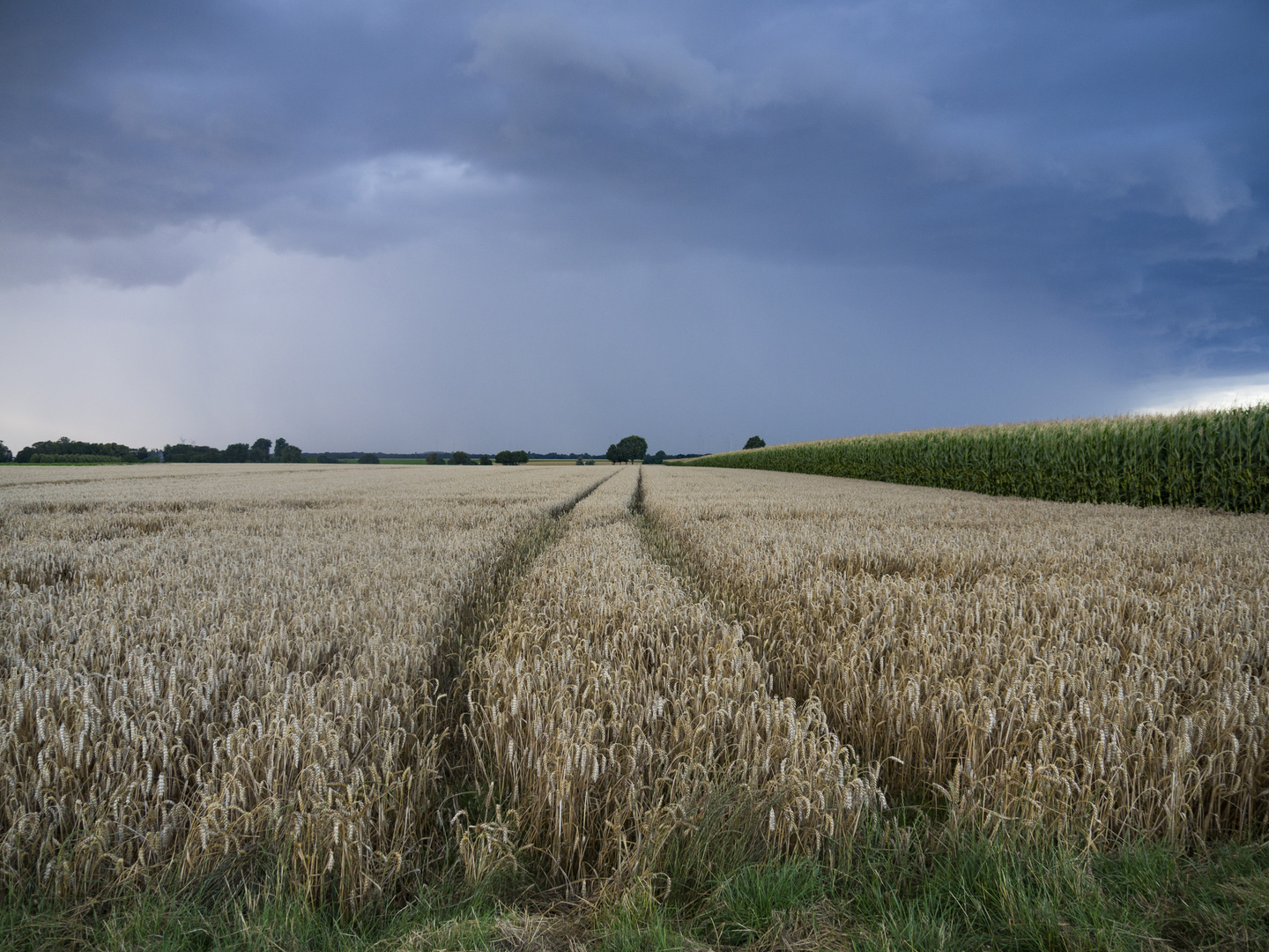 Vor dem großen Regen