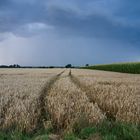 Vor dem großen Regen