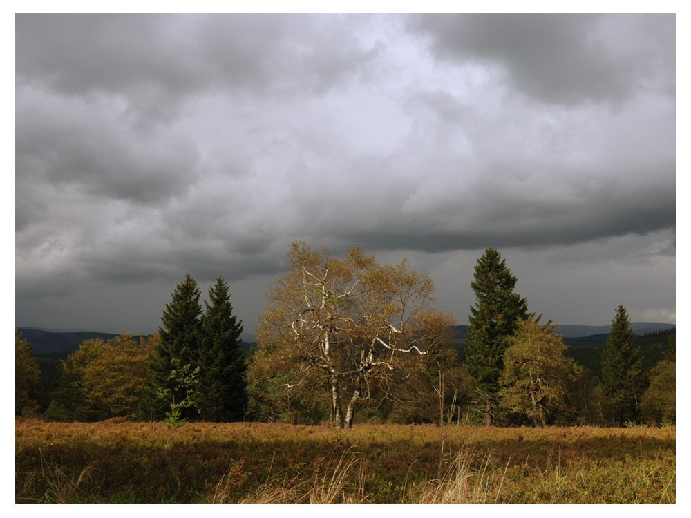 Vor dem großen Regen I