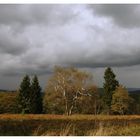 Vor dem großen Regen I