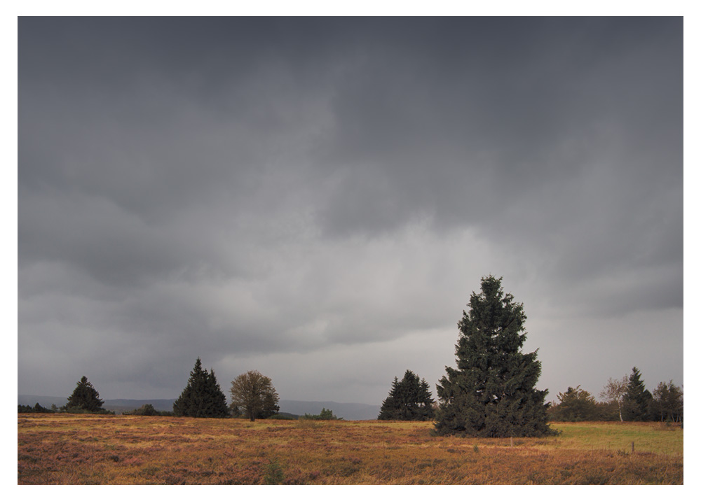 Vor dem großen Regen II