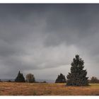 Vor dem großen Regen II