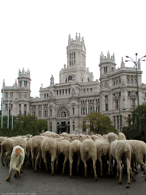 Vor dem Hauptpostamt in Madrid heute morgen