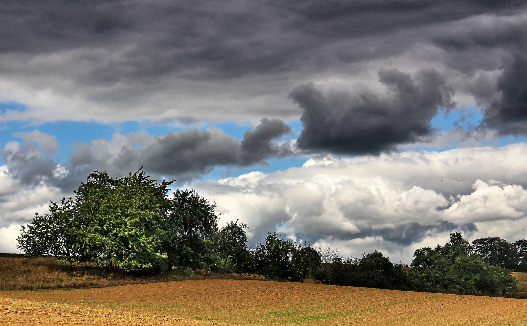 Vor dem Herbst