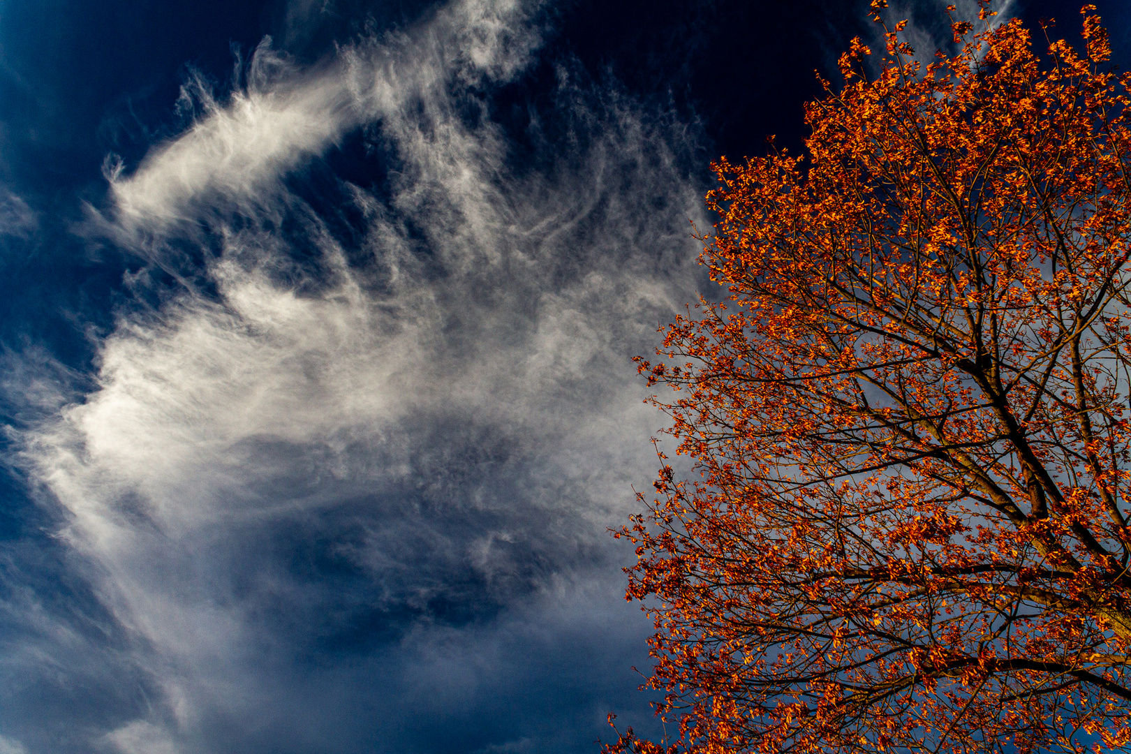 Vor dem Himmel