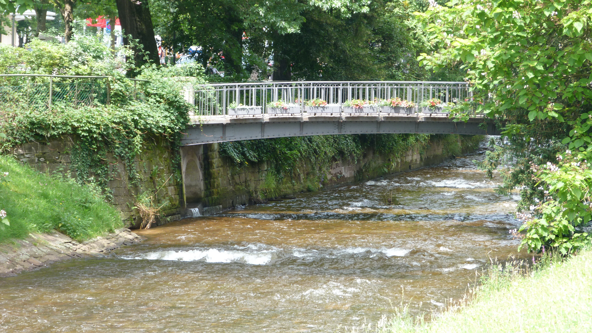 Vor dem Hochwasser