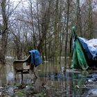 Vor dem Hochwasser geflohen