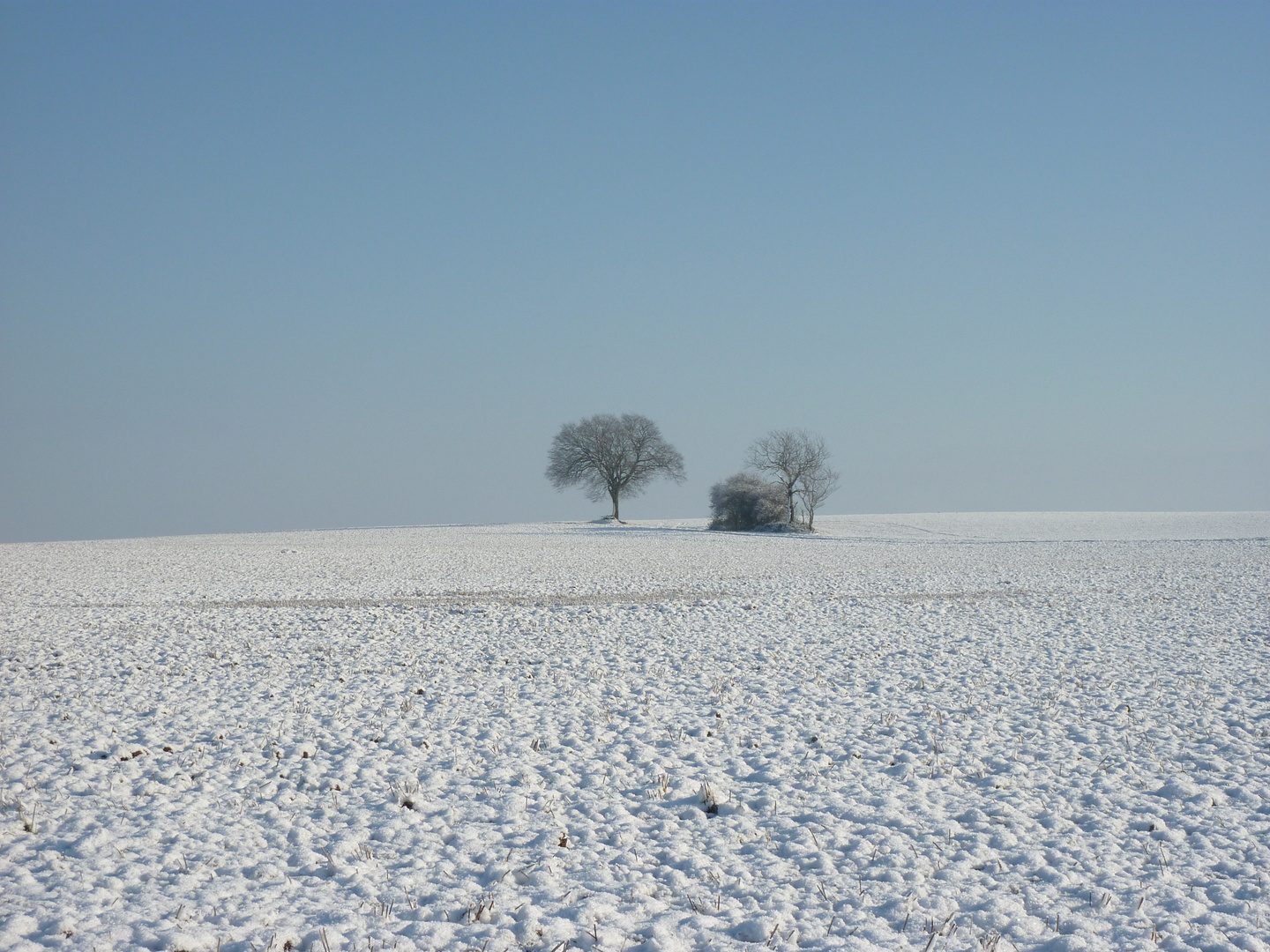 Vor dem Horizont 2