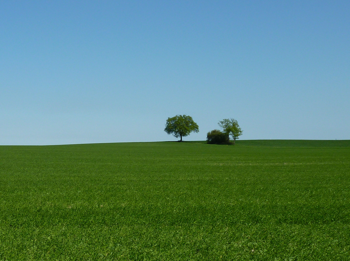 Vor dem Horizont 3