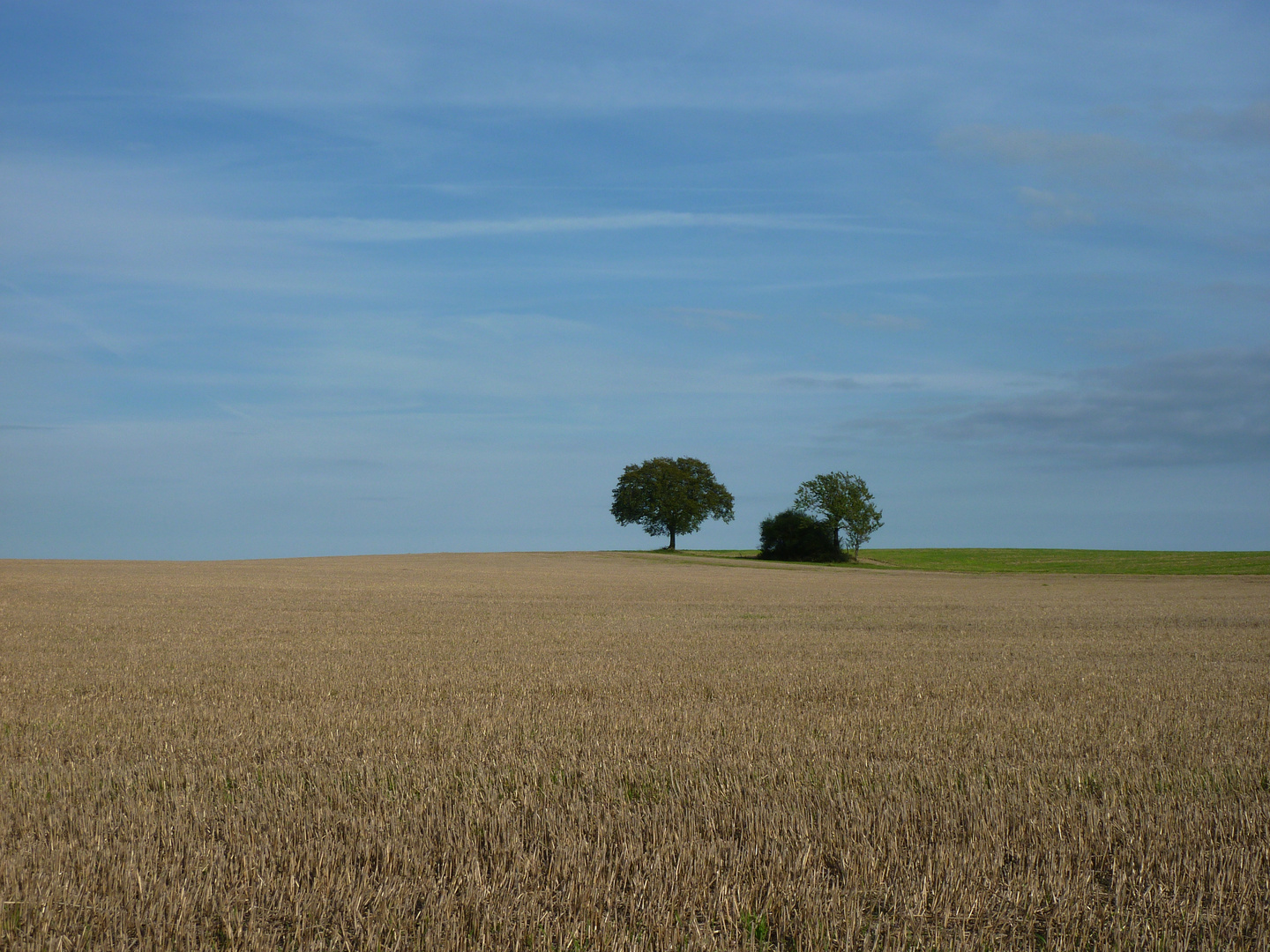 vor dem Horizont