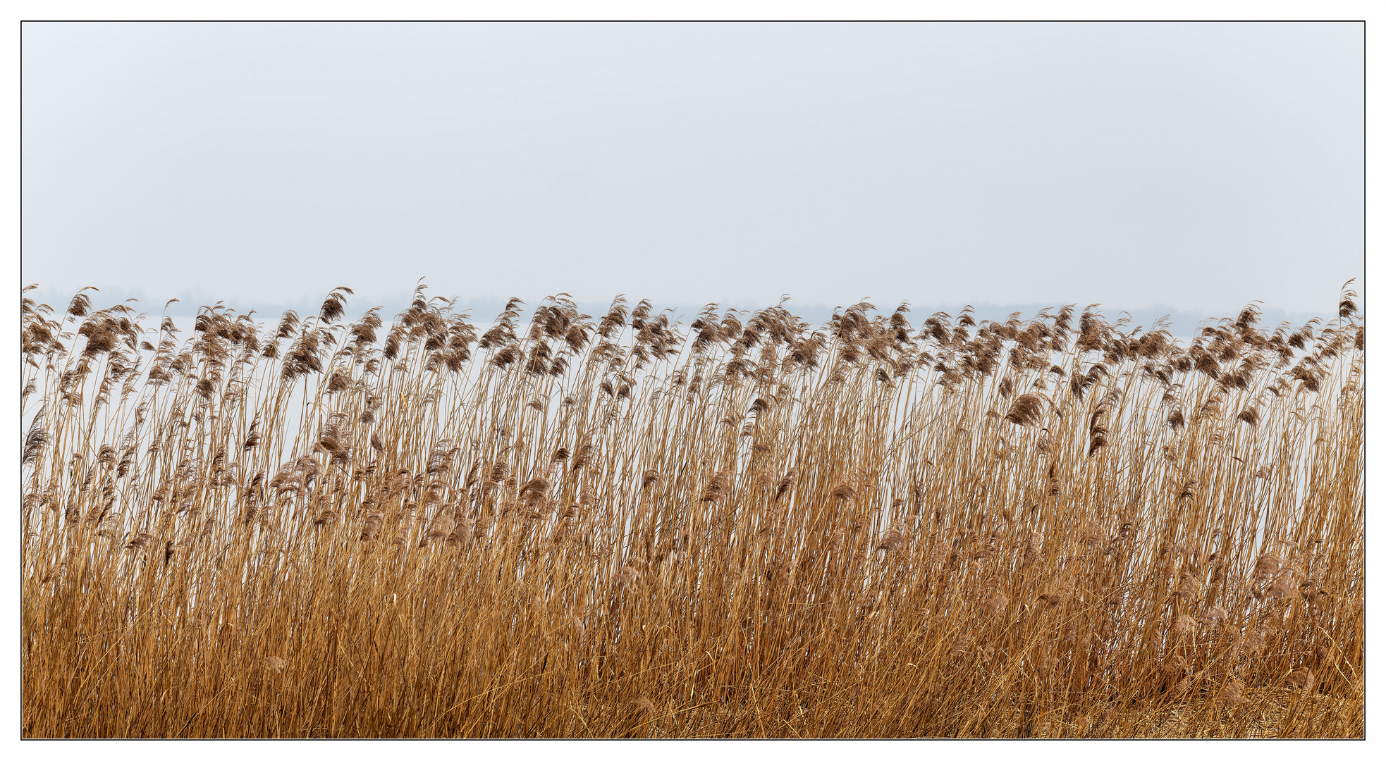 Vor dem Horizont