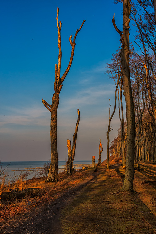 Vor dem Kliff des Gespensterwalds