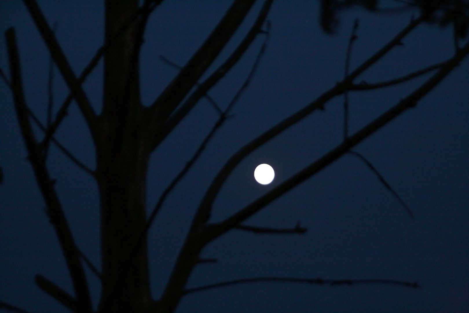 vor dem letzten Vollmond