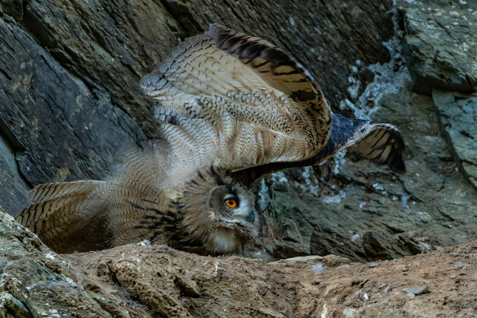 Vor dem nächsten Flug erst einmal Dehnübungen machen