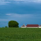 Vor dem nächsten Regen