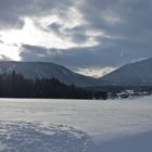 vor dem nächsten Schnee ;-)