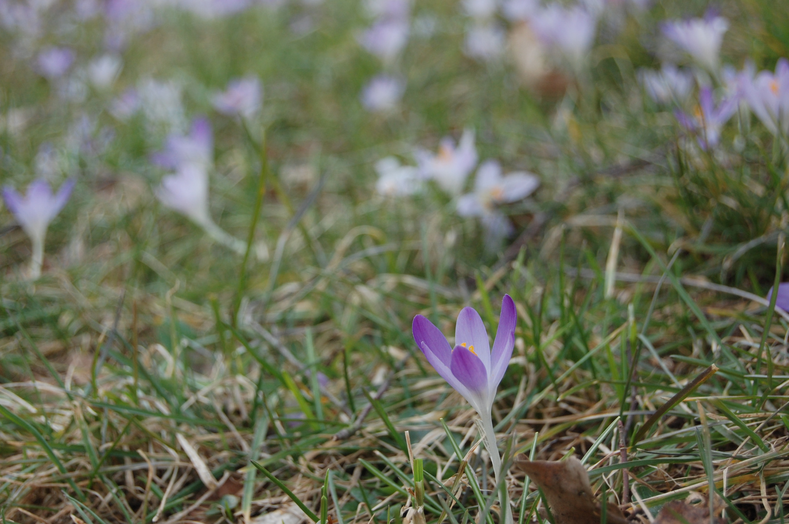 vor dem nächsten Schnee ...