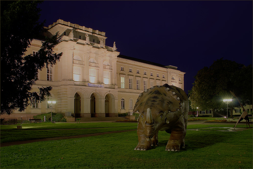 vor dem Naturkundemuseum