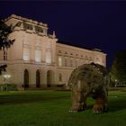 vor dem Naturkundemuseum