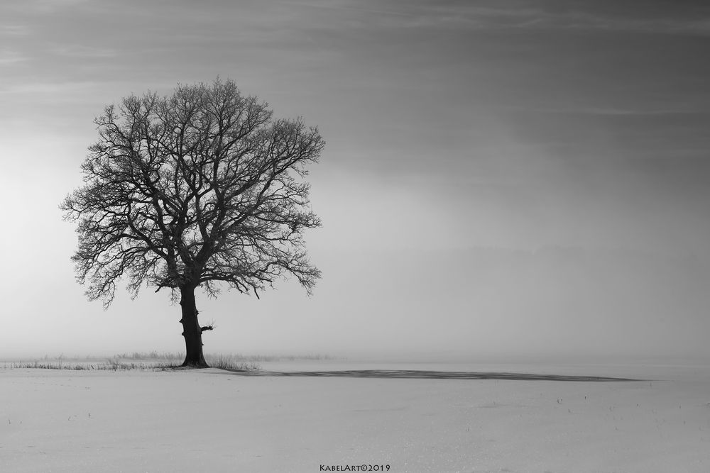 Vor dem Nebel