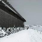 Vor dem Nebel geflohen 