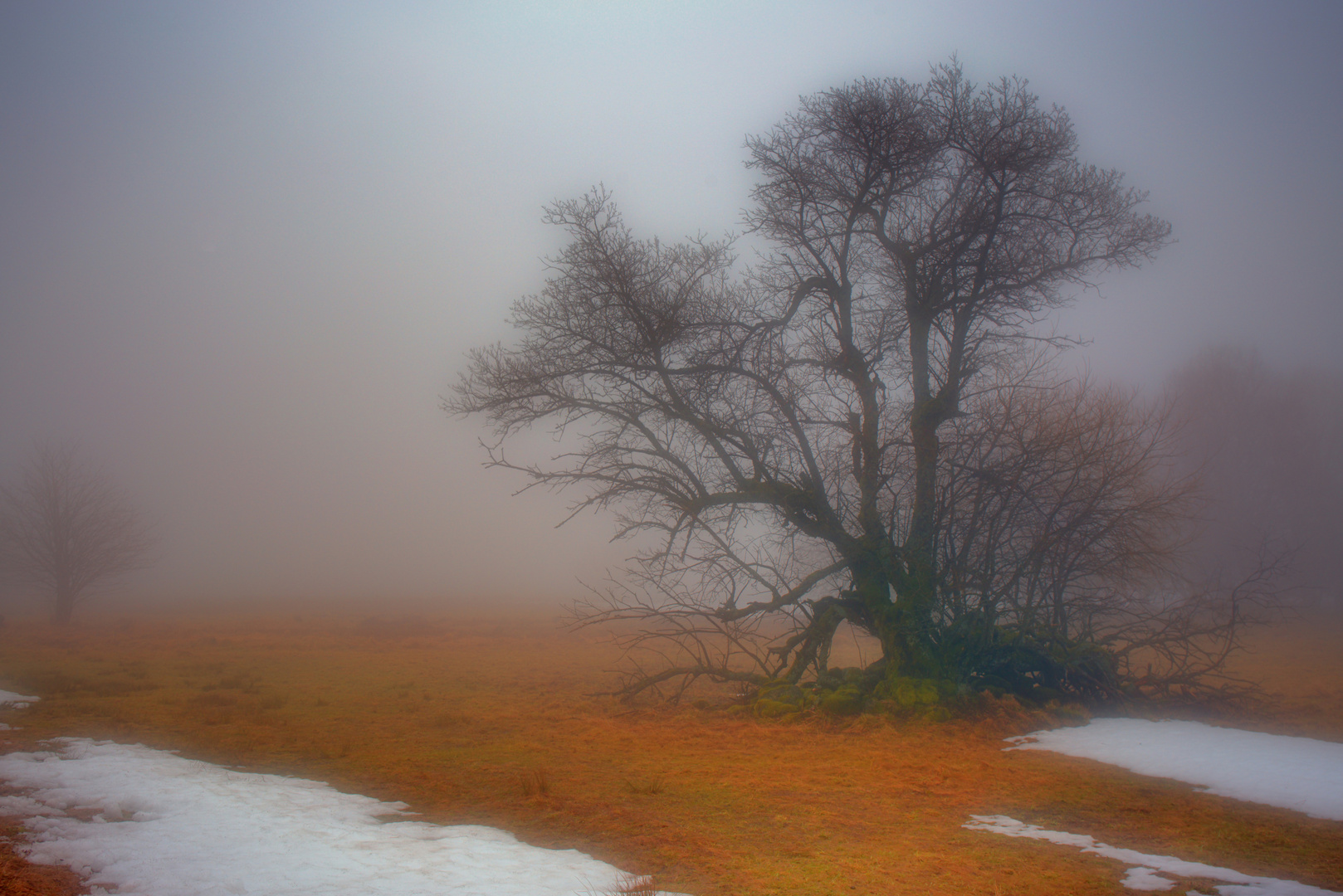 Vor dem Nebel stehend ... (2)