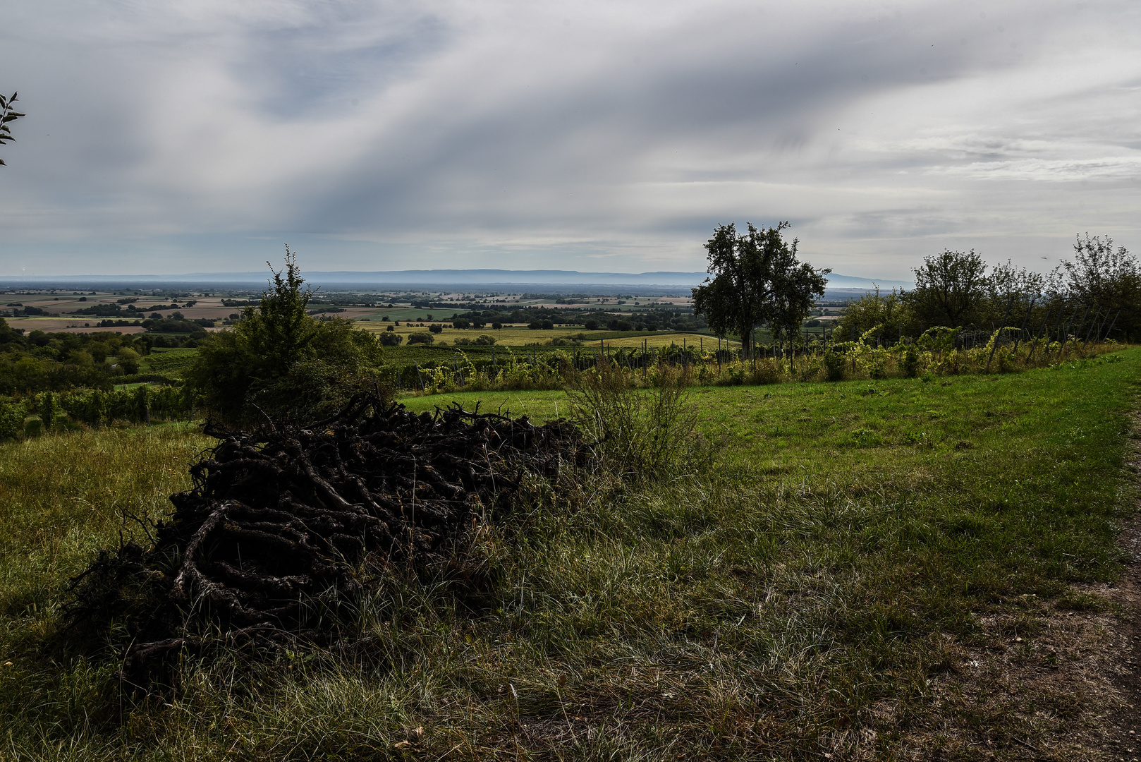 Vor dem nördlichen schwarzwald eine Wolkenbank