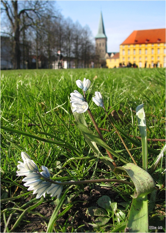 Vor dem Osnabrücker Schloß und Katharienenkirche