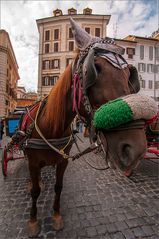 Vor dem Pantheon [2]