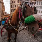 Vor dem Pantheon [2]