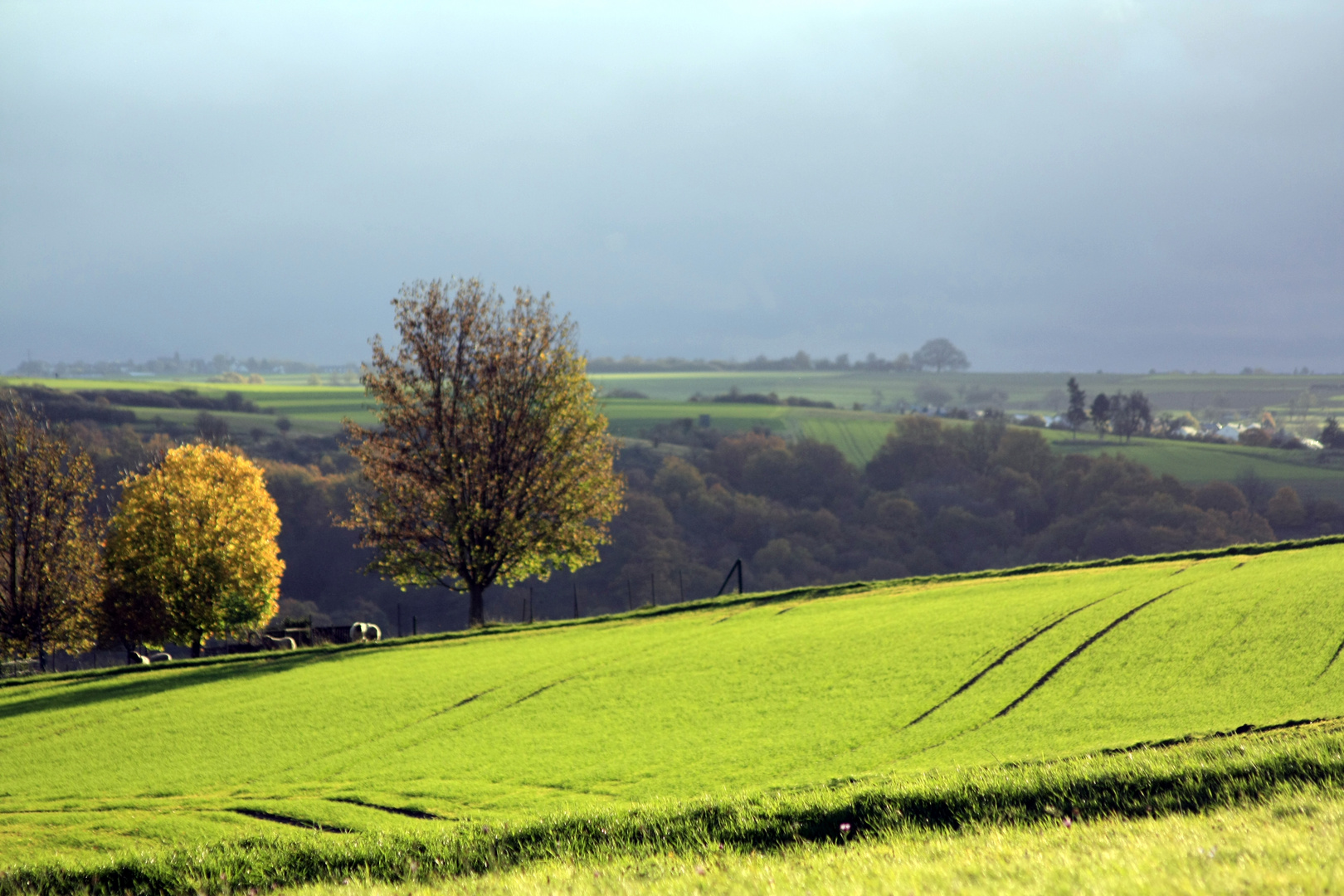 Vor dem Regen