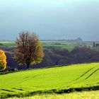 Vor dem Regen