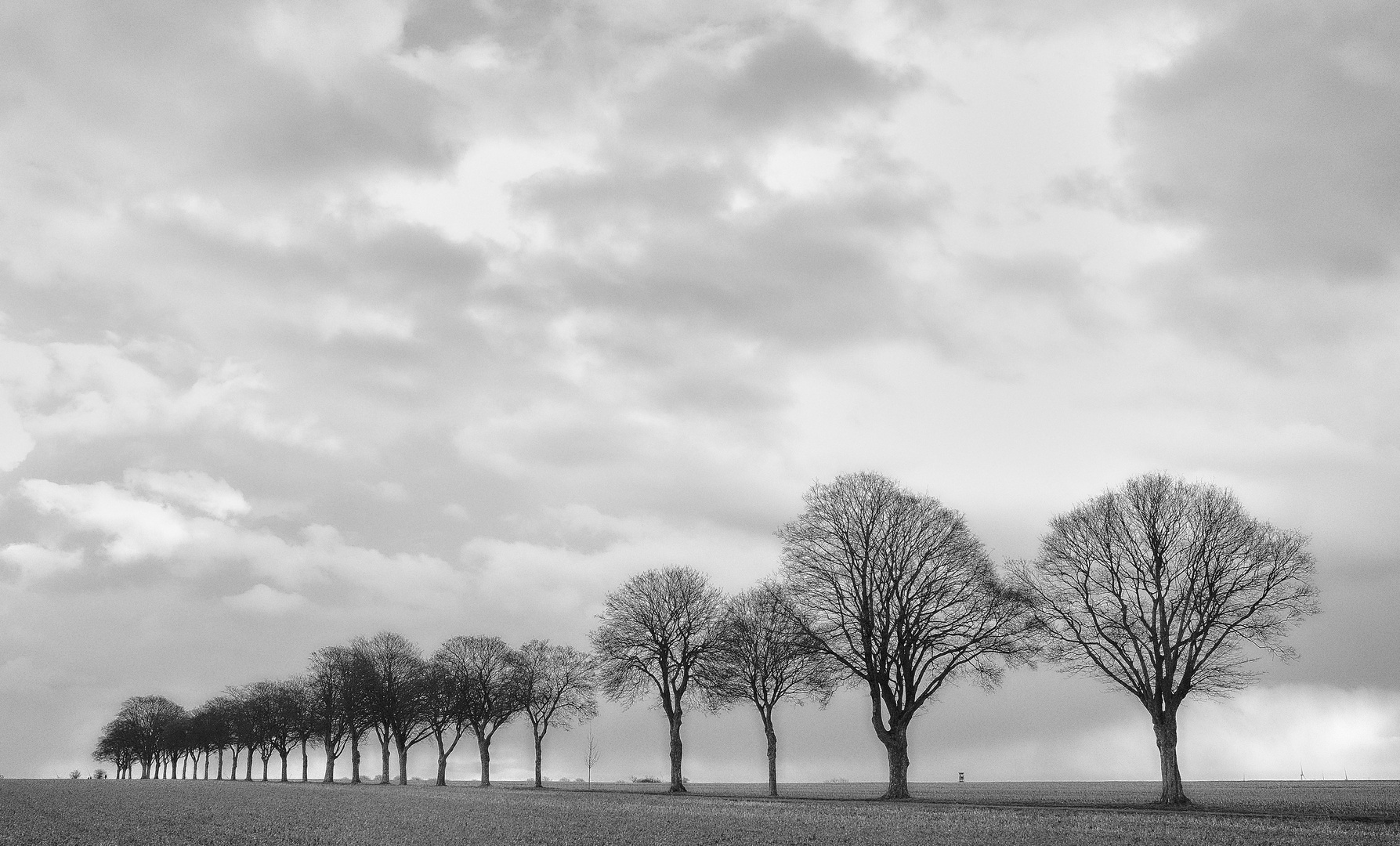 Vor dem Regen 1