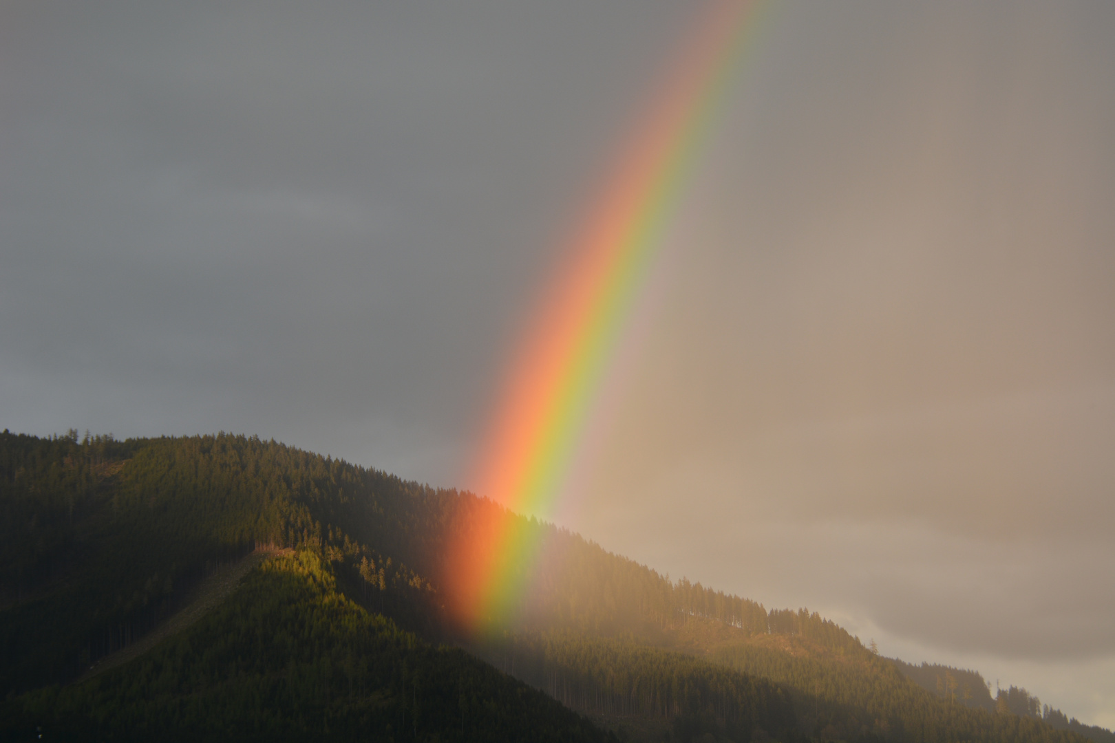 Vor dem Regen